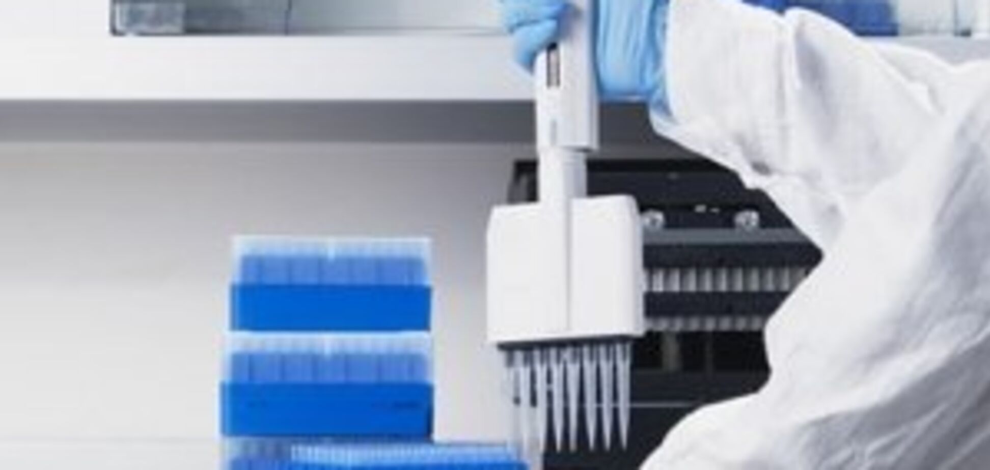 WOG наладит контроль качества автогаза в сети