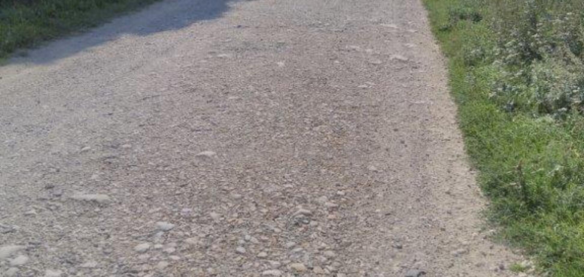 Компания Бахматюка помогает обустраивать инфраструктуру села на Ивано-Франковщине