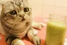Осторожно, детокс!