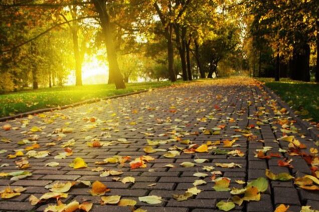 Куда сходить в Киеве: 7 идей для выходных