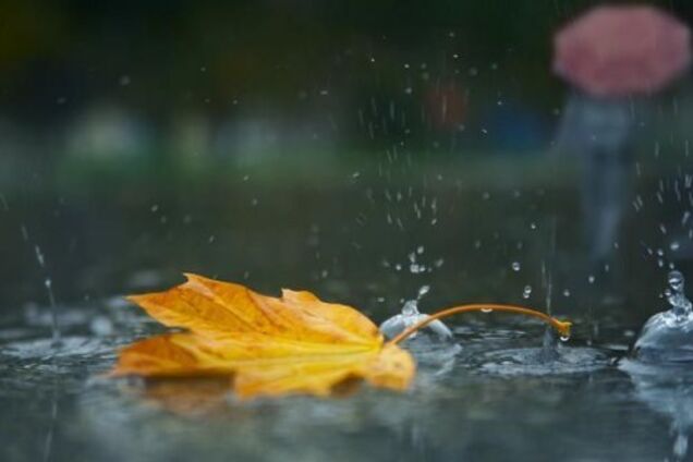 В Україну йдуть заморозки з дощами: з'явився прогноз погоди на початок жовтня