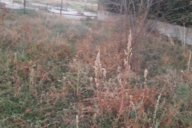 Армянск после экокатастрофы: появились печальные снимки