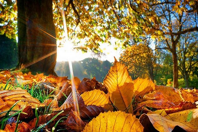 Война изменила все. Это тошнотворное чувство