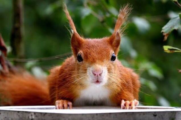 Анекдоти дня: кращі приколи за 3 вересня