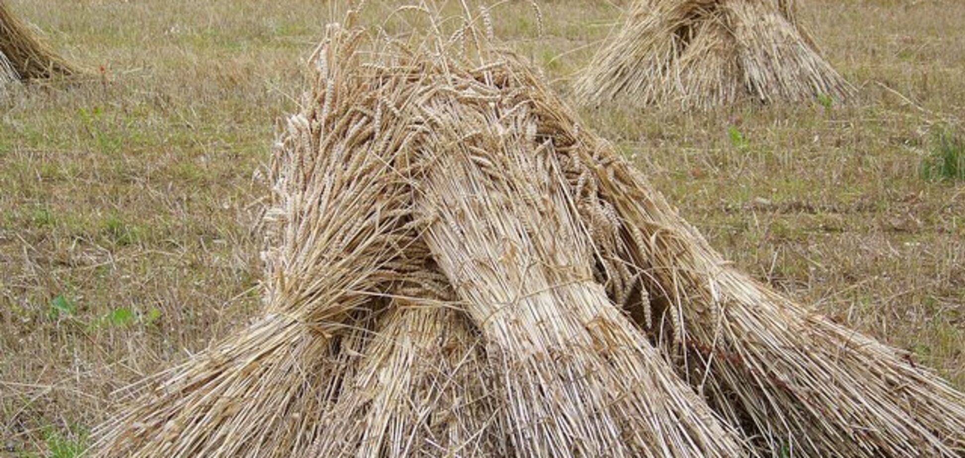 Приметы на 4 сентября: что нельзя делать