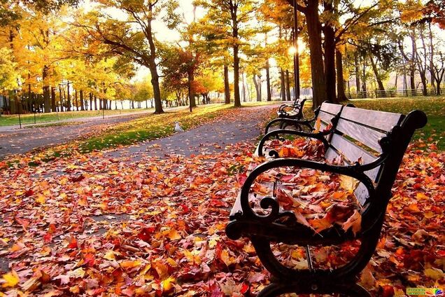 Вихідні в жовтні: стало відомо, скільки відпочиватимуть українці