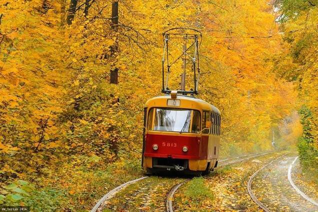 Тепло і дощі: синоптик дала прогноз на найближчі дні