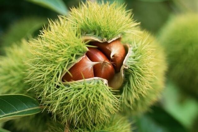 В Днепре заметили природную аномалию