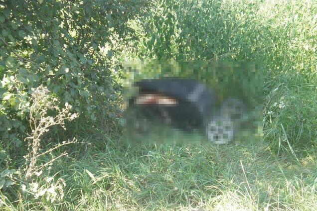 'Расчленили топором и ножом': под Киевом обнаружили труп в чемодане