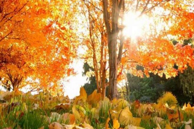 Дожди и грозы: синоптик уточнила прогноз погоды в Украине