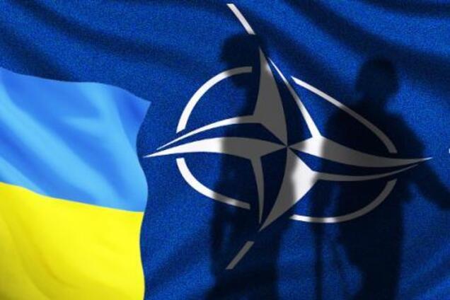 Питання членства в НАТО має вирішувати народ на референдумі