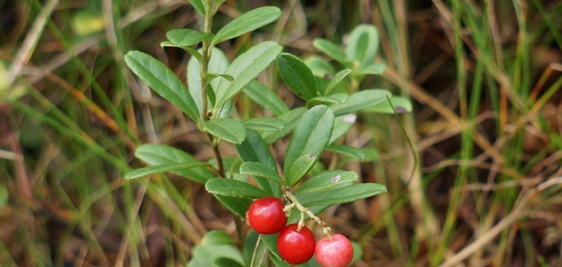 Прикмети на 5 вересня: чого не можна робити