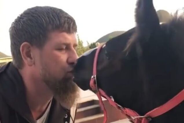 Кадыров целовался с ослом: 'любовь' попала на видео