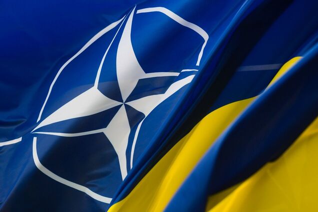 'НАТО нужны яйца': украинцам откровенно указали на слабые места Альянса перед Путиным