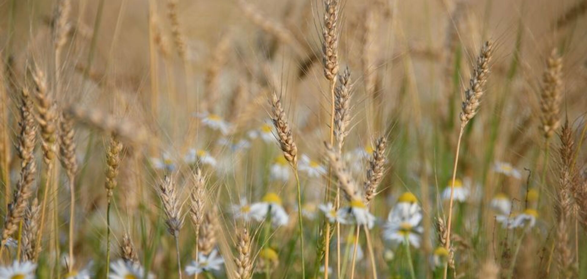 Ще припече: синоптики дали спекотний прогноз погоди по Україні