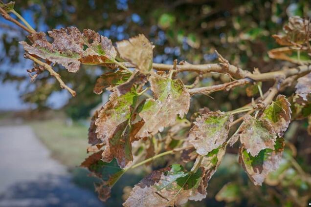 Катастрофа в Армянске: это не разовый выброс, это гораздо хуже