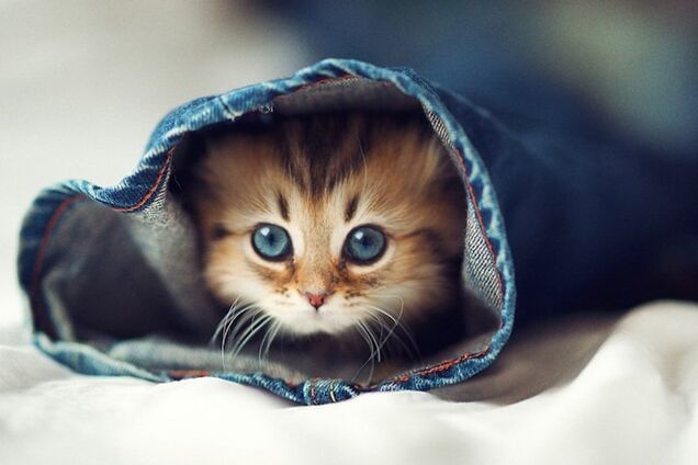 6 сентября 2018: какой сегодня праздник