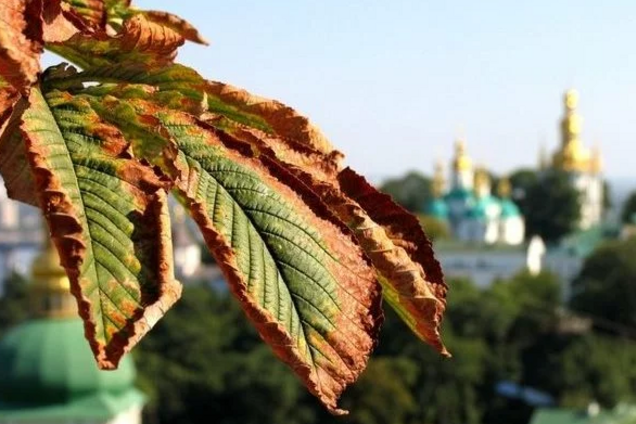 Увірветься осінь: синоптики попередили про різке похолодання в Україні