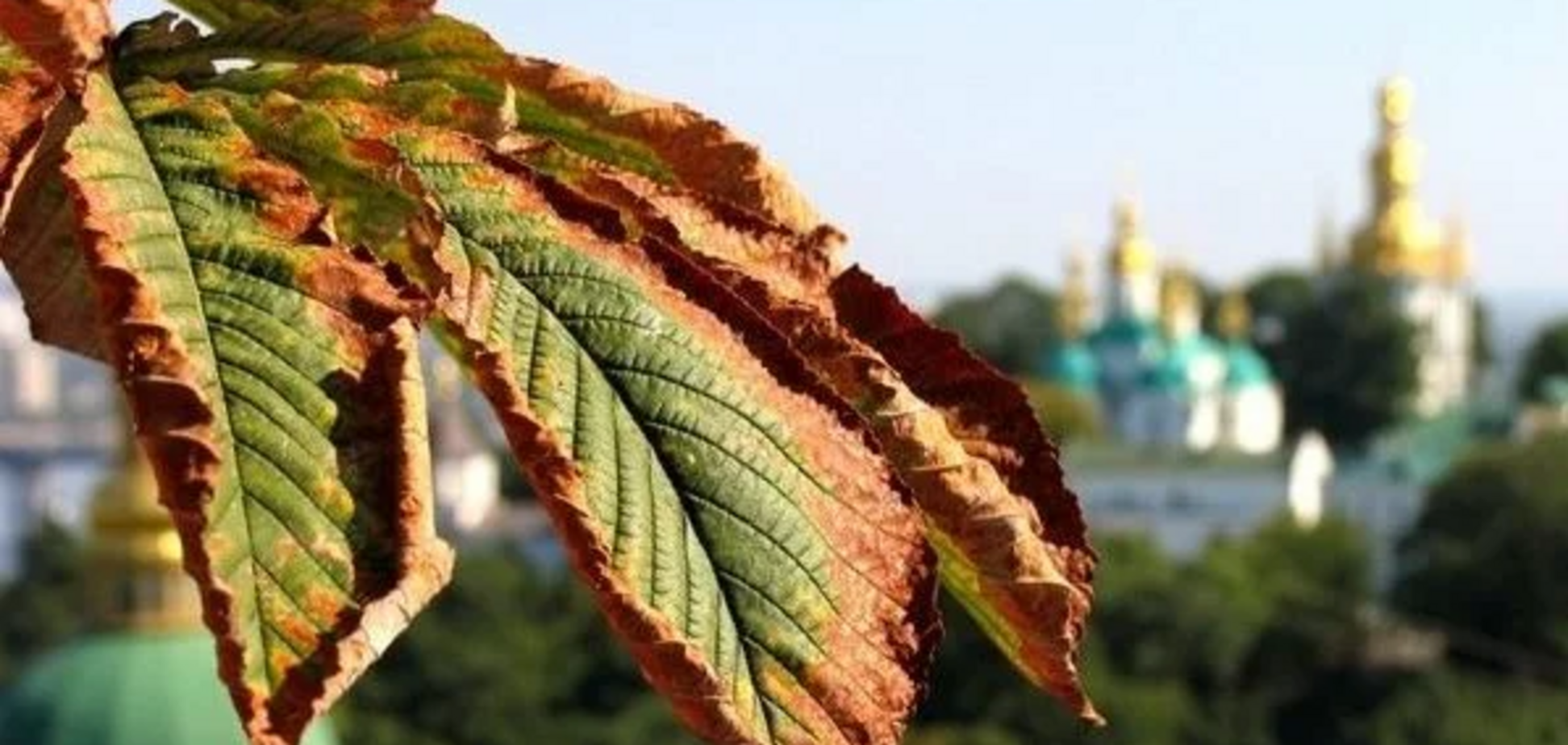 Ворвется осень: синоптики предупредили о резком похолодании в Украине