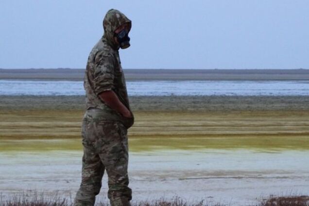 Умирают коты и птицы: появились жуткие фото последствий экокатастрофы в Крыму