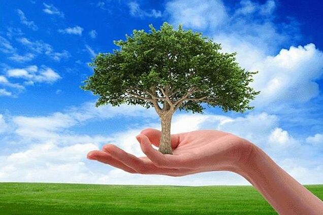 Екологічний ефект від впровадження природоохоронних програм