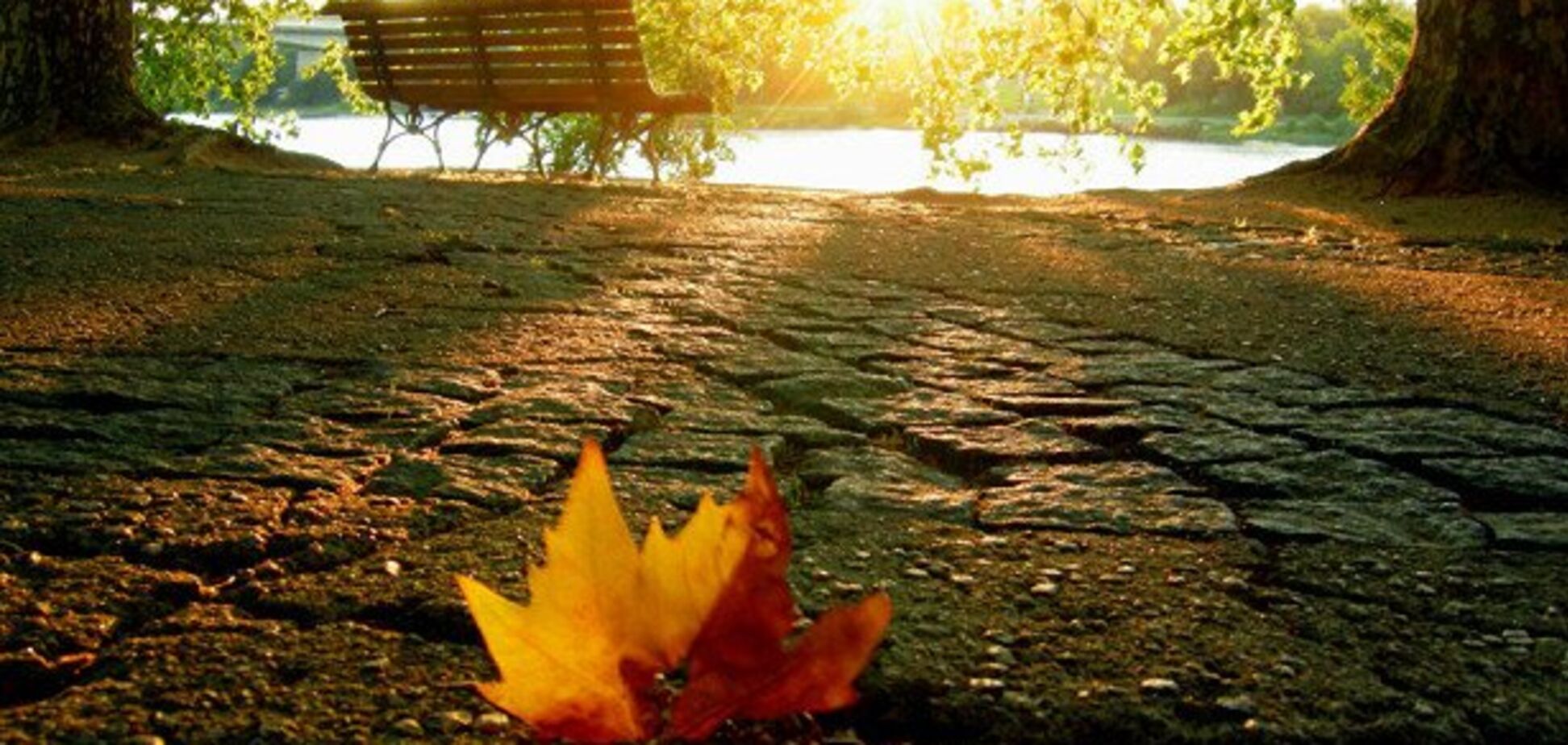 'Бабье лето' закончилось: синоптики уточнили прогноз по похолоданию в Украине