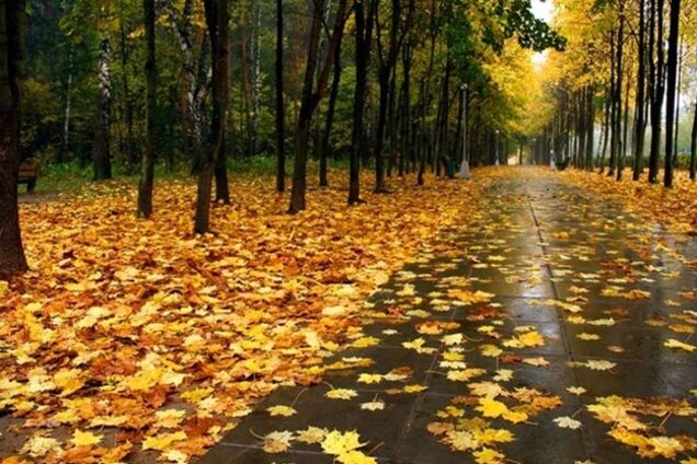 Увірветься циклон: синоптик пояснила погіршення погоди в Україні