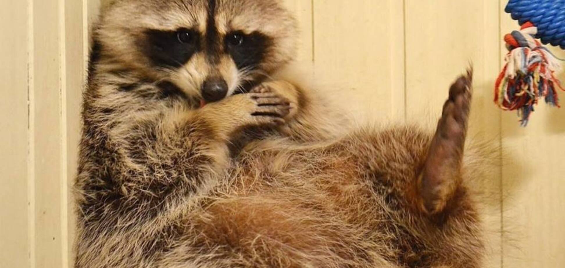 Анекдоты дня: лучшие приколы за 7 сентября