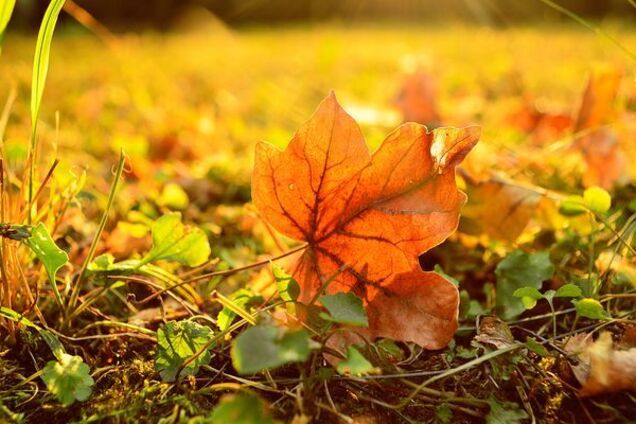 Каверзный циклон из Крыма: в Киеве предупредили о резком ухудшении погоды