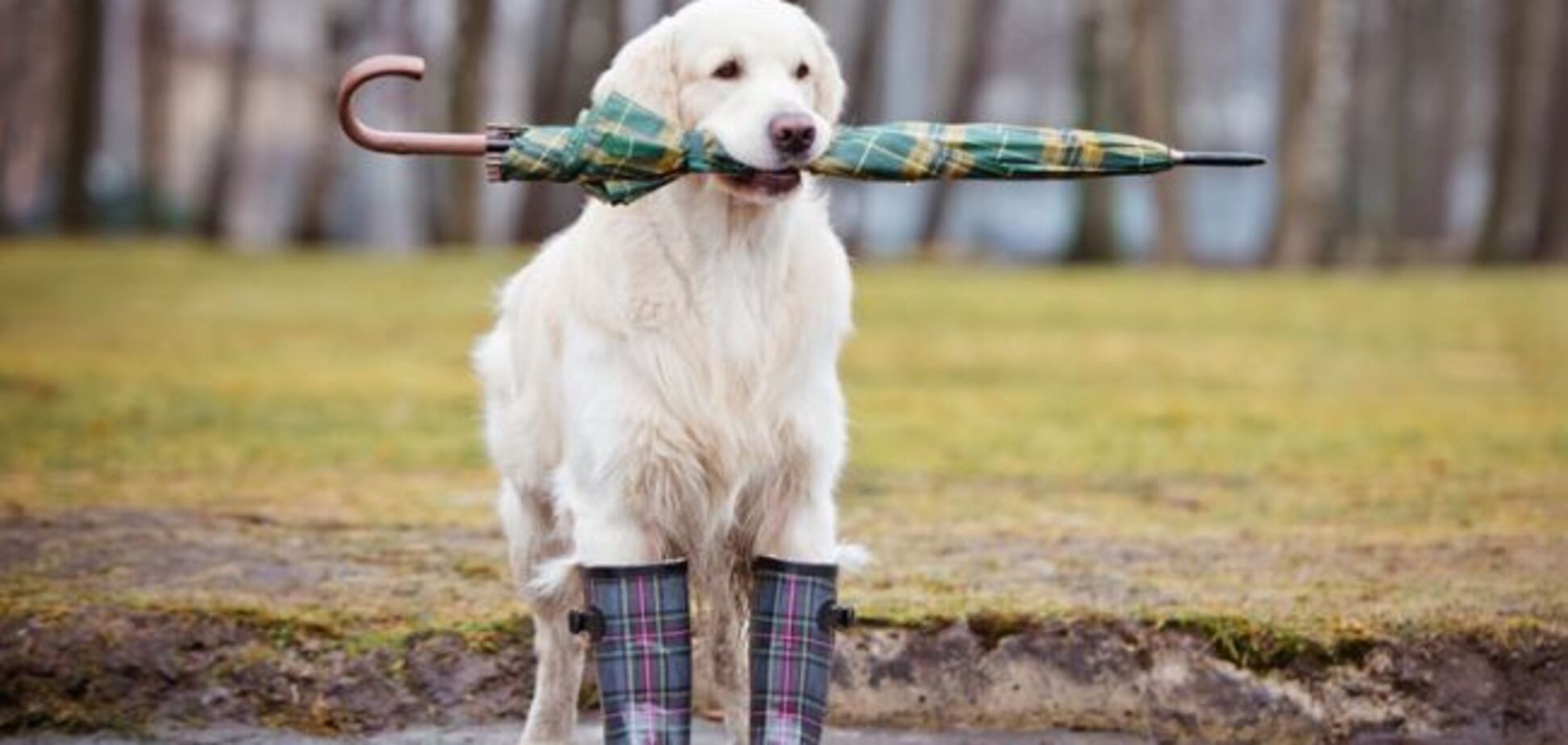 Небо затянет: синоптики дали грозовой прогноз по Украине