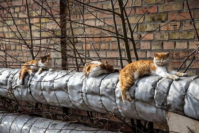 Центральне опалення: Україна на порозі катастрофи