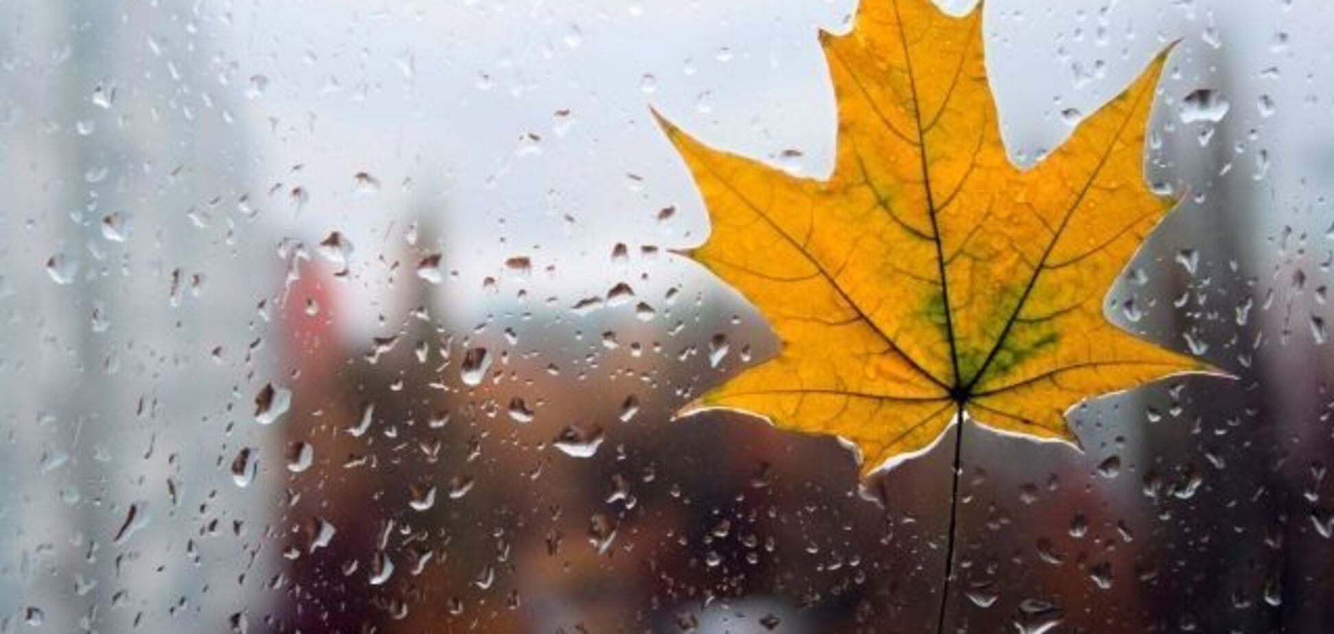 Затопит: синоптики уточнили дождевой прогноз по Украине