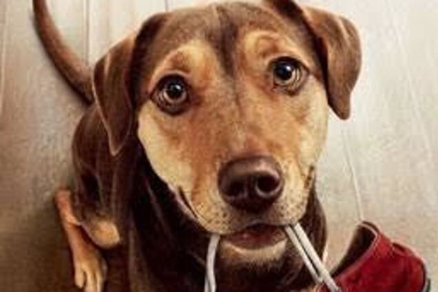 В Оскаре состоялась благотворительная премьера фильма 'Путь домой'