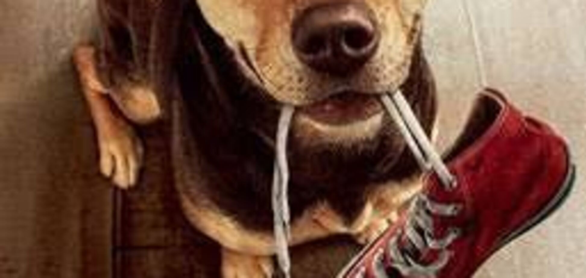 В Оскаре состоялась благотворительная премьера фильма 'Путь домой'