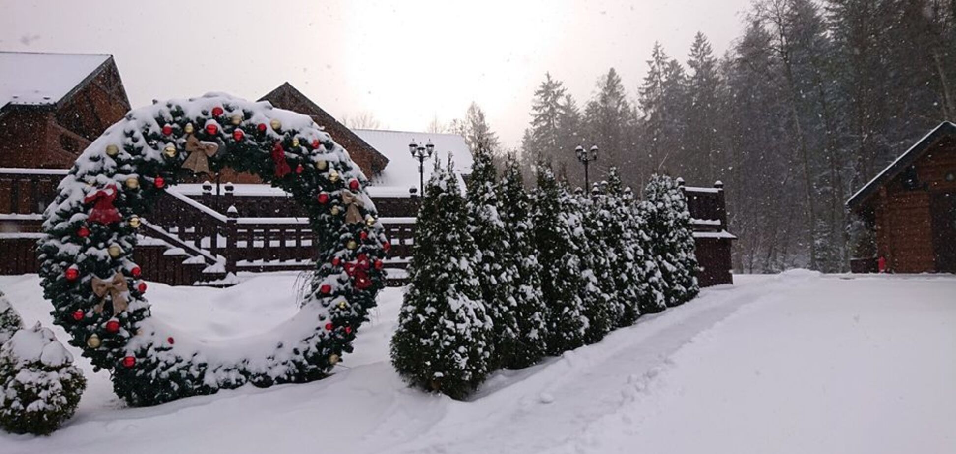 'Зубожіла Україна': невероятные рождественские приключения