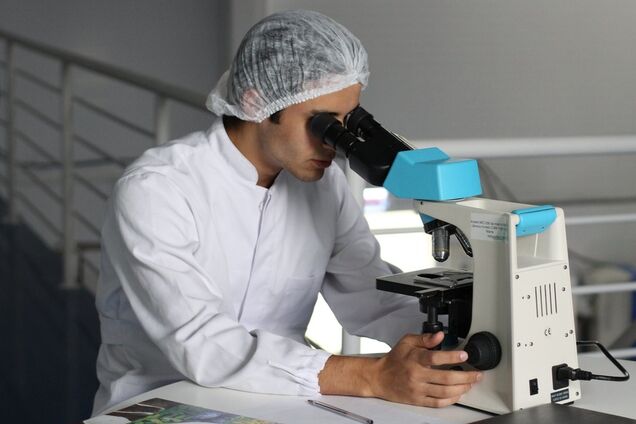 В оккупированном Крыму обнаружена вспышка свиного и птичьего гриппа