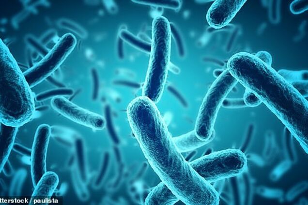 Антибиотики не берут: в крови человека найдены неизлечимые супербактерии