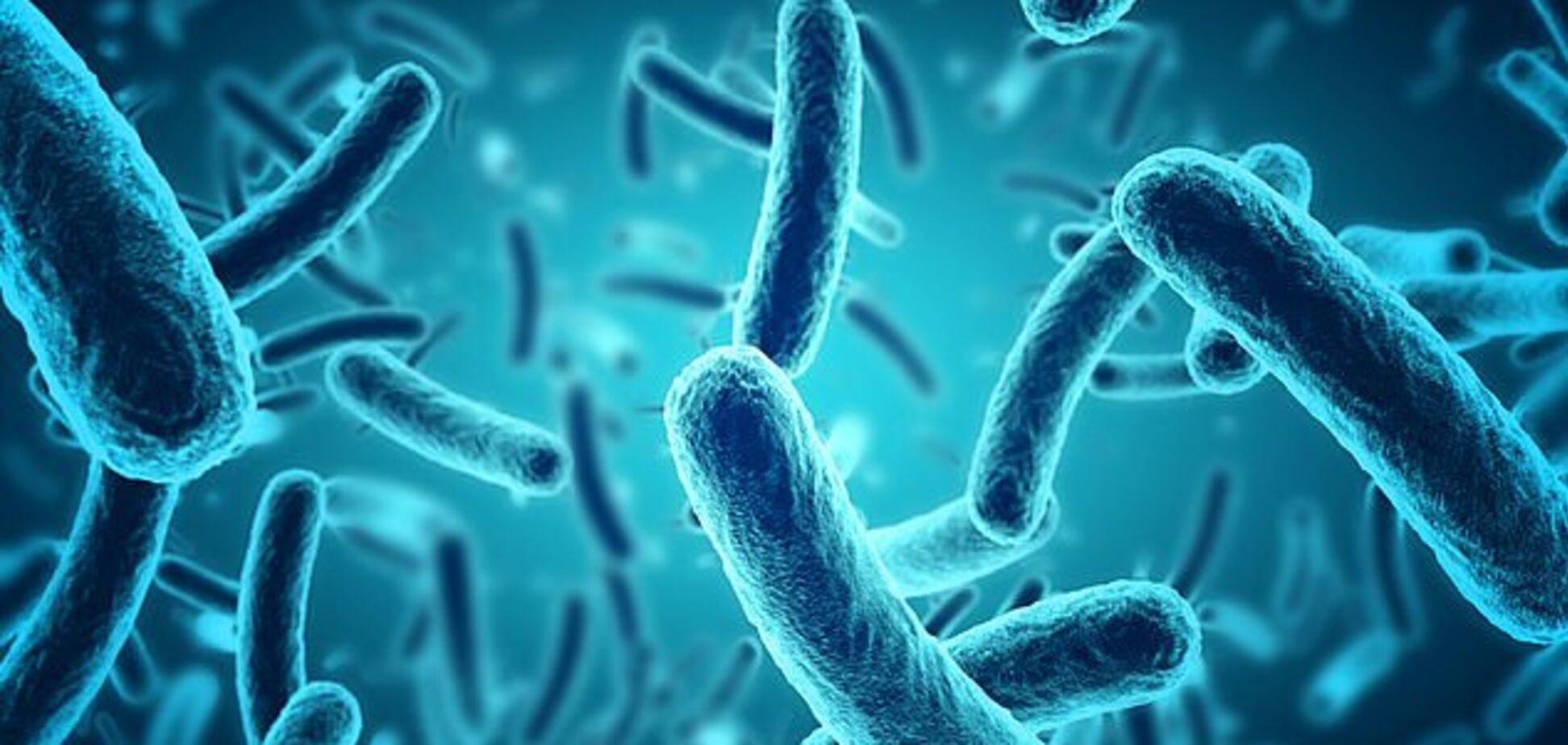 Антибиотики не берут: в крови человека найдены неизлечимые супербактерии