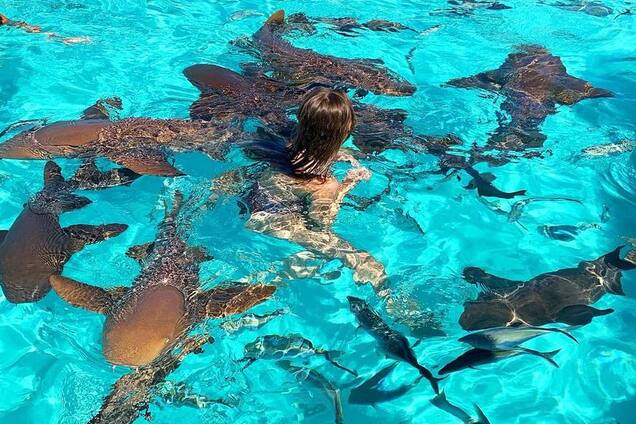 Известную российскую певицу покусали акулы