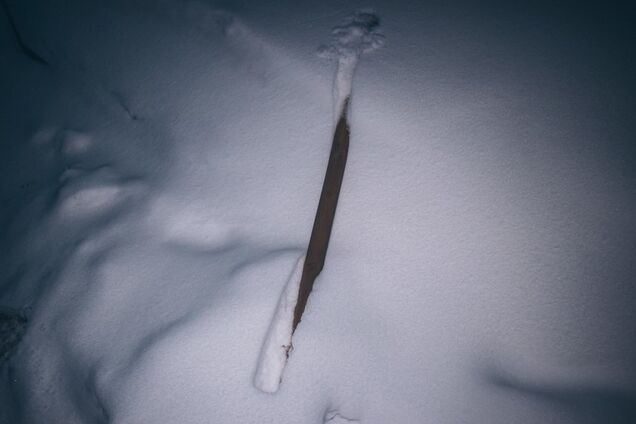 Шампанським по голові: в Києві біля АЗС відбулася масова бійка