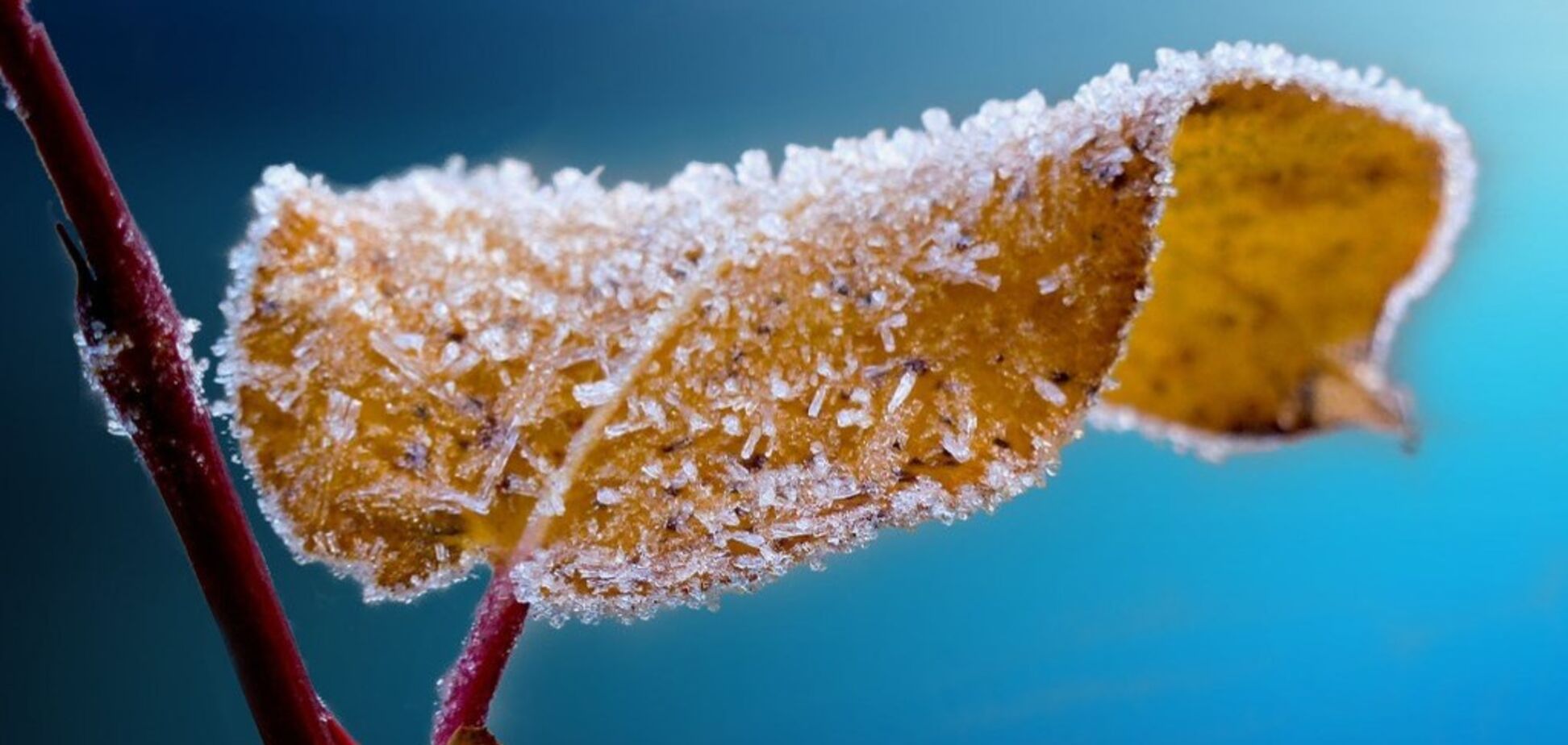 ''Вріже до -20!'' У Київ іде сильне похолодання