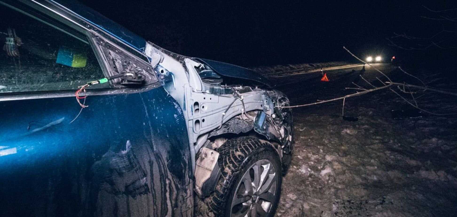 Мчав на повній швидкості: в Києві посеред лісу збили військового ЗСУ