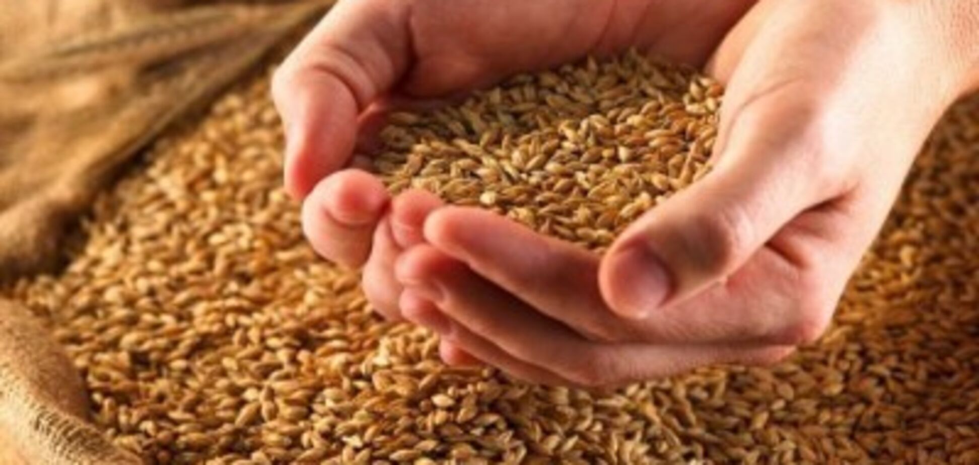 Як практично реформувати земельні відносини в Україні. Нова аграрна політика