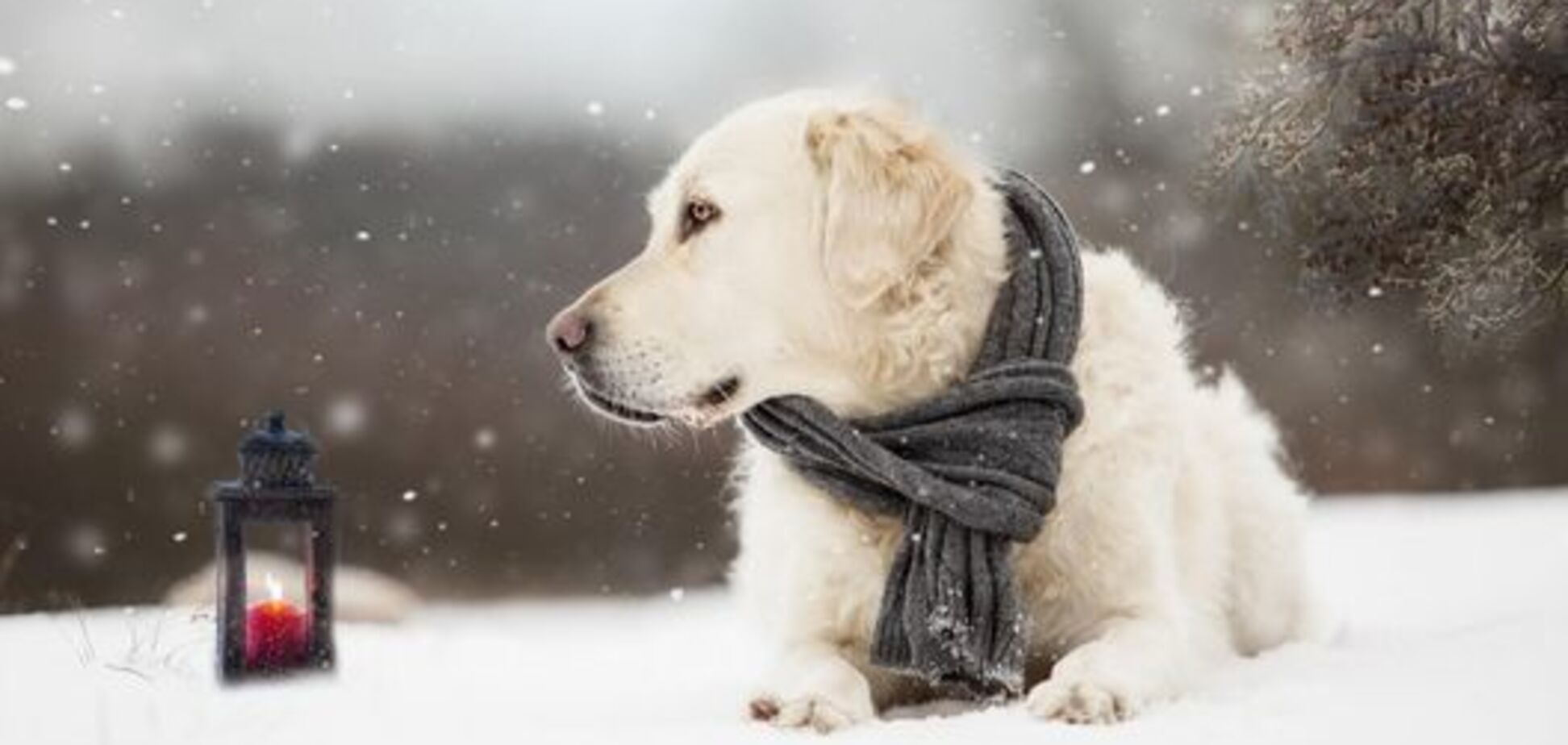 Приморозит еще больше: синоптики уточнили прогноз по похолоданию в Украине