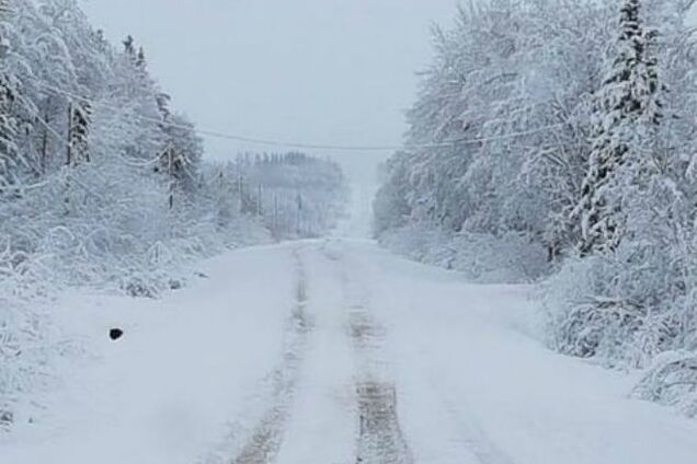 Снегопады и -10: синоптики уточнили погоду на неделю в Киеве