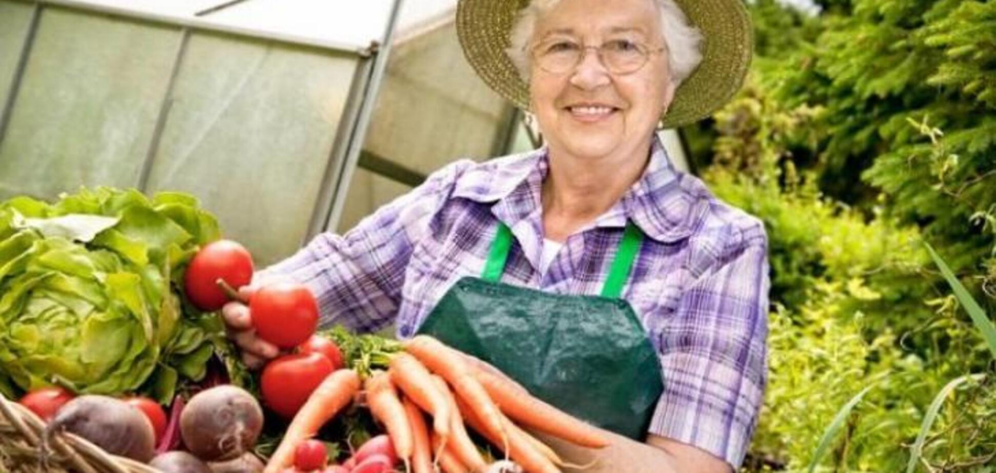 Місячний календар садівника і городника: коли і що садити у січні 2019 року