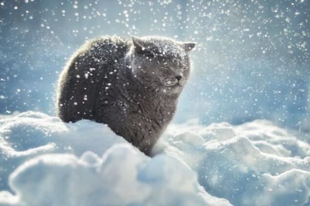 ''Мчится циклон!'' Синоптик предупредила о резкой перемене погоды в Украине