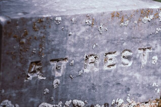 В Киеве владельцы животных будут платить новый штраф: в чем причина