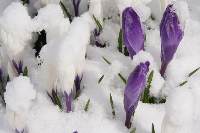 Первое дыхание весны: появился подробный прогноз погоды на февраль в Украине