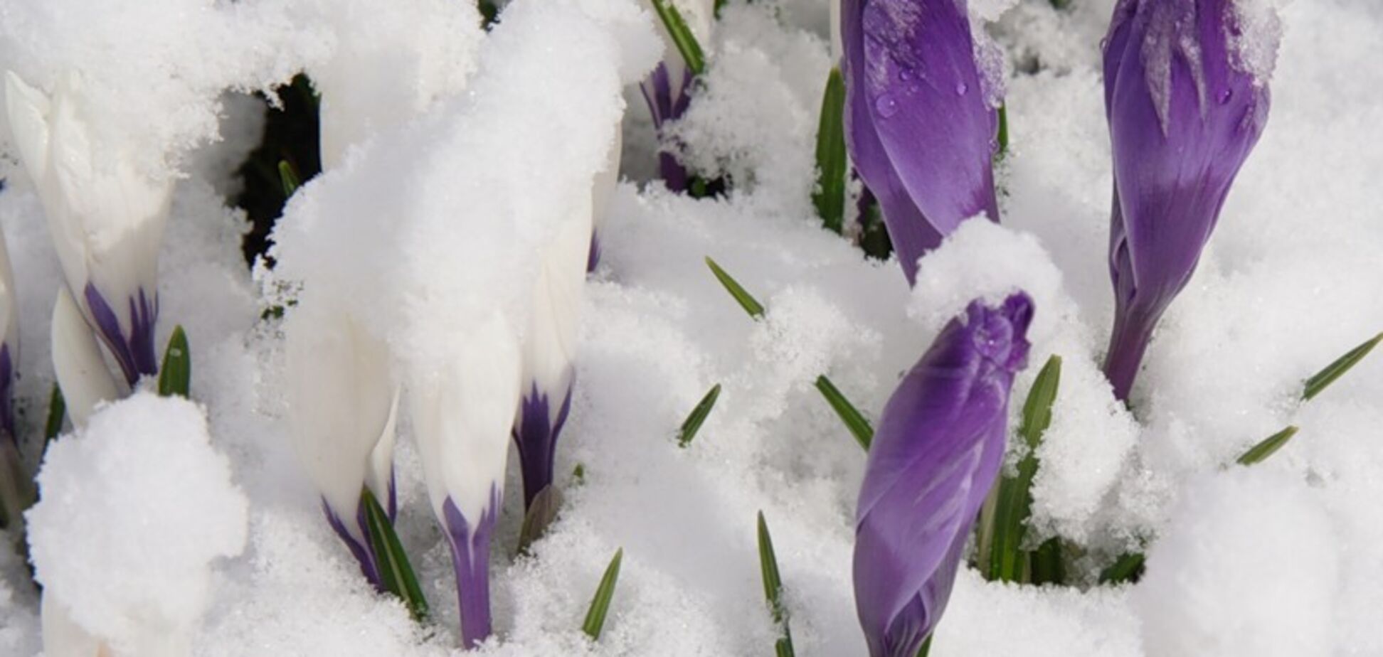 Первое дыхание весны: появился подробный прогноз погоды на февраль в Украине